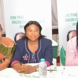 One in every 2 women of reproductive age suffer anaemia in Nigeria – NSN